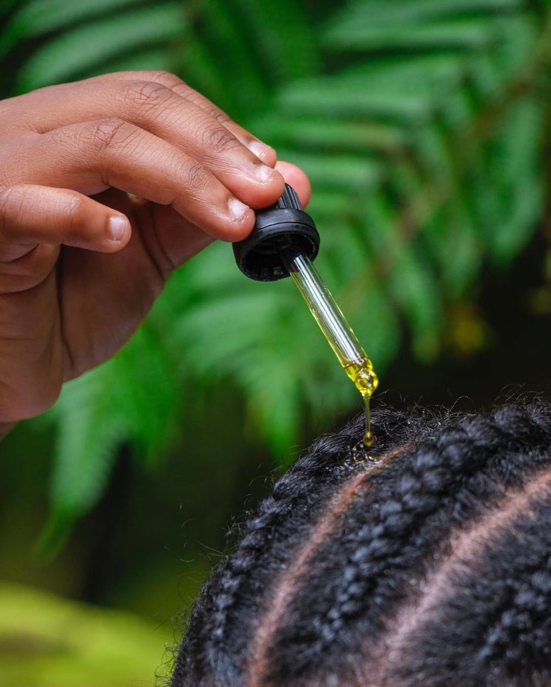 Application du sérum Batana au compte-gouttes sur des tresses